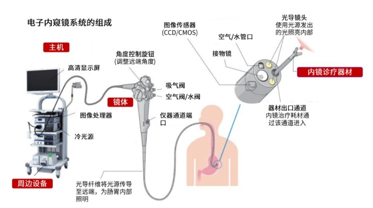 電子內窺鏡系統的組成