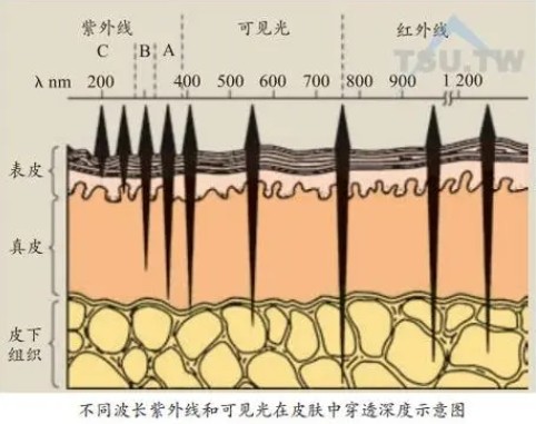 激光美容波長(cháng)對皮膚損傷最小