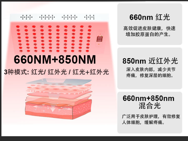 紅光理療儀