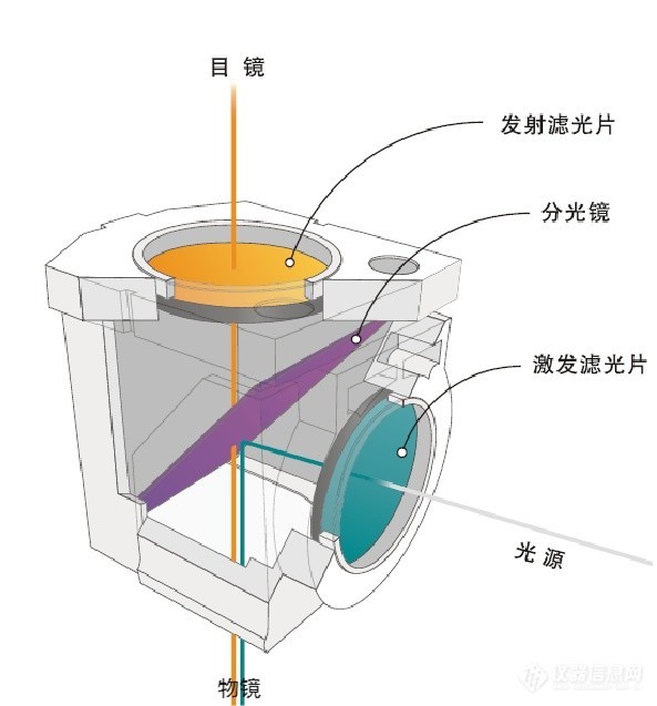 熒光顯微鏡結構圖