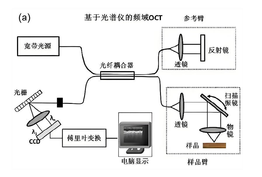 OCT的基本工作原理圖
