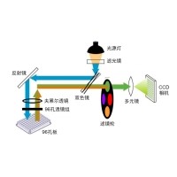 什么是熒光定量PCR、數字PCR？