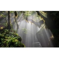 光的干涉、衍射、折射、反射、散射
